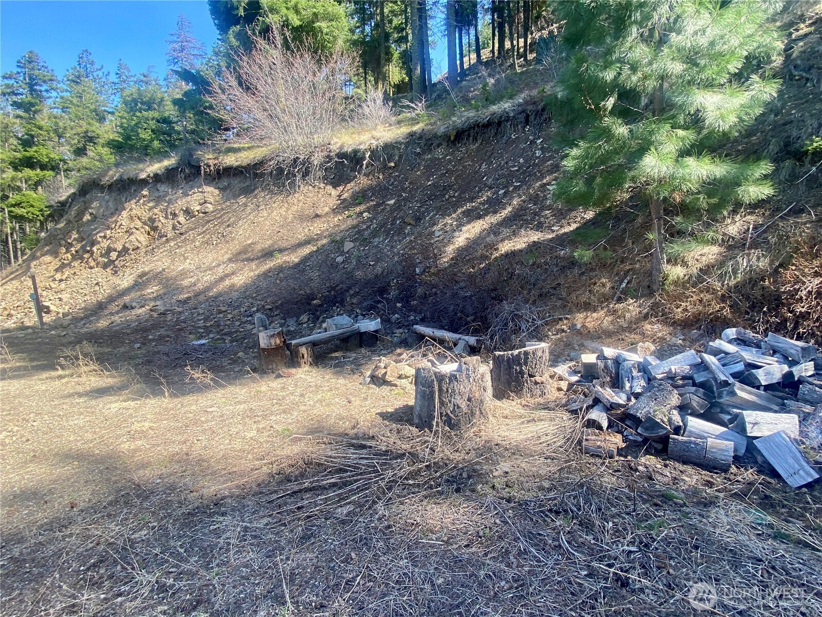 393 Tom And Nita Road Cle Elum, WA 98922 - Photo 26 of 30 a view of yard