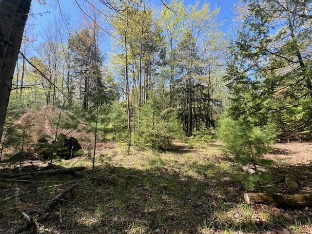 0 Flees Road Northport, MI 49670 - Photo 3 of 10 Gallery Image 3
