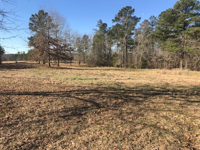 1 D Angela Road Wagener, SC 29164 - Photo 4 of 14
