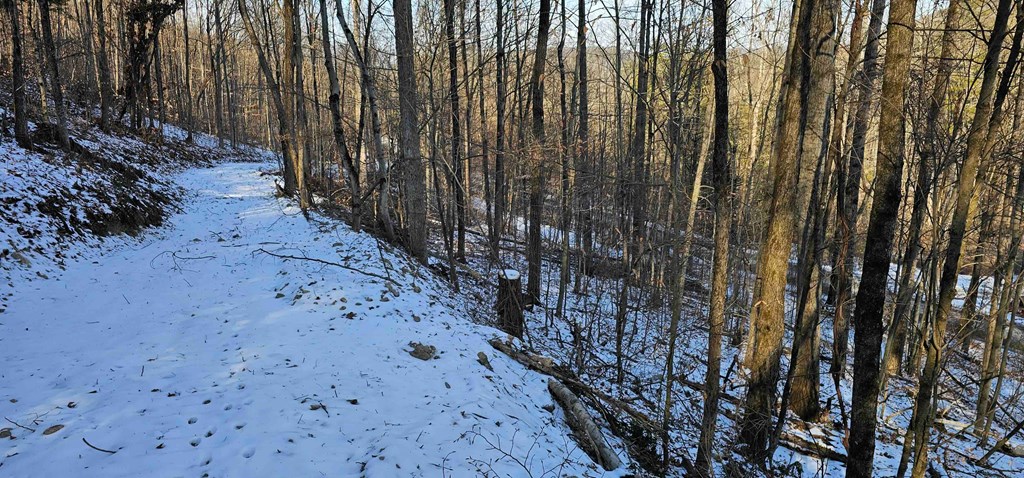 0 Jenkins Road Elmira, NY 14901 - Photo 22 of 25