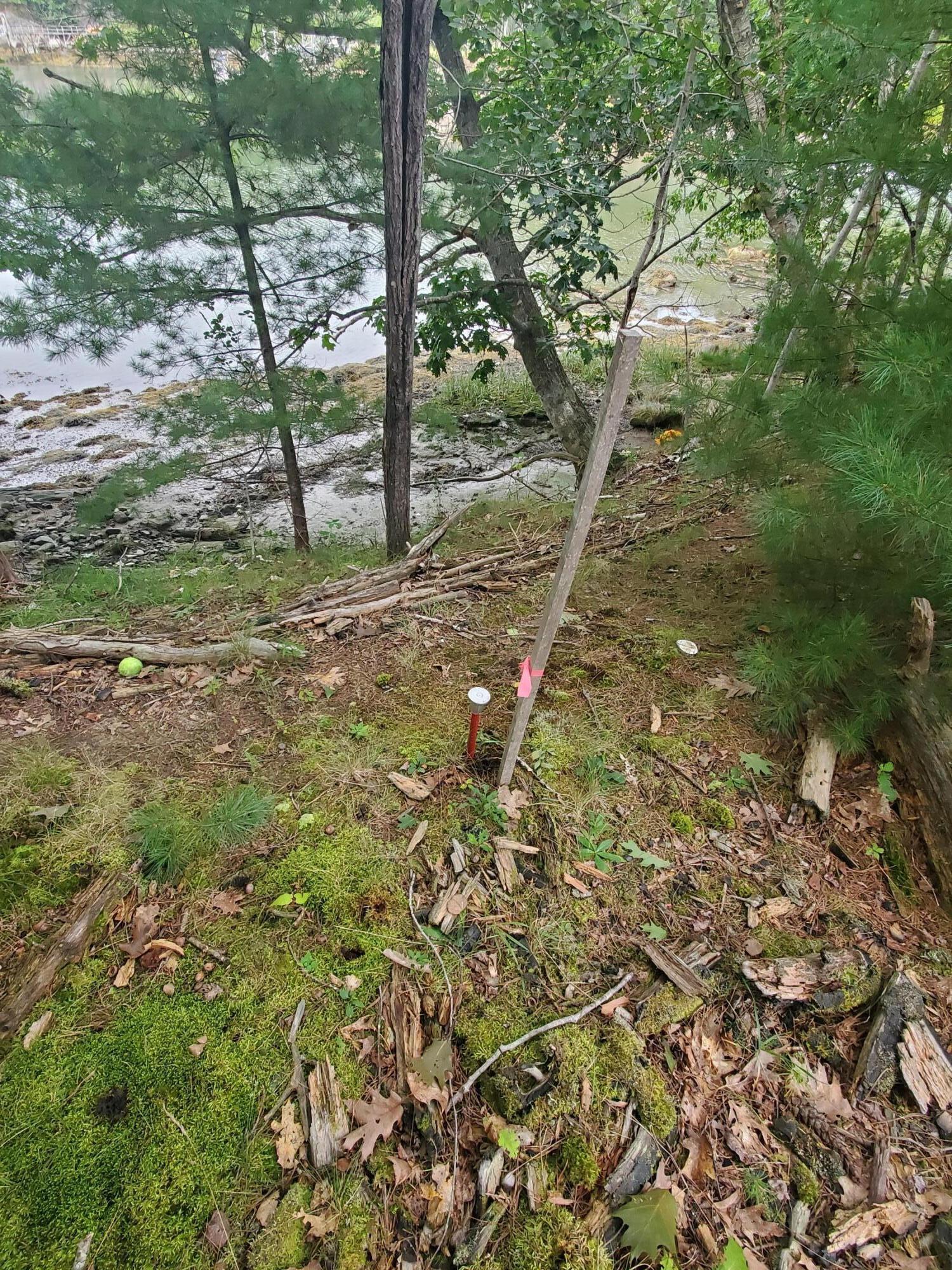 0 Oak Road Georgetown, ME 04548 - Photo 3 of 5 Surveyed and Pinned