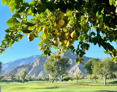 $1,650,000 | 50623 Cereza, La Quinta, CA 92253