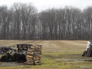 9657 Grafton Road Carleton, MI 48117 - Photo 3 of 6 ACREAGE