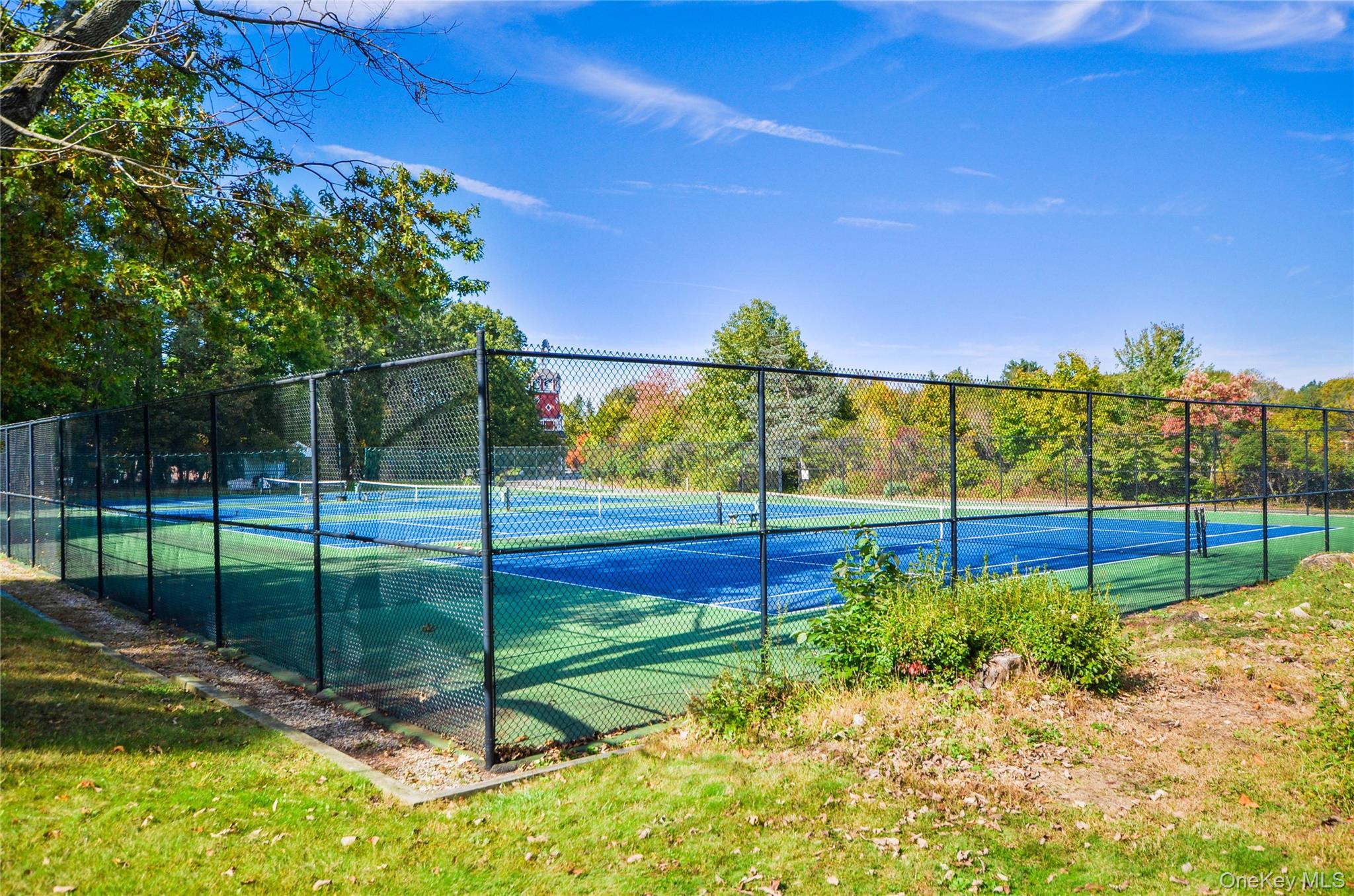 65 Windmill Road Armonk, NY 10504 - Photo 32 of 37 a view of a backyard