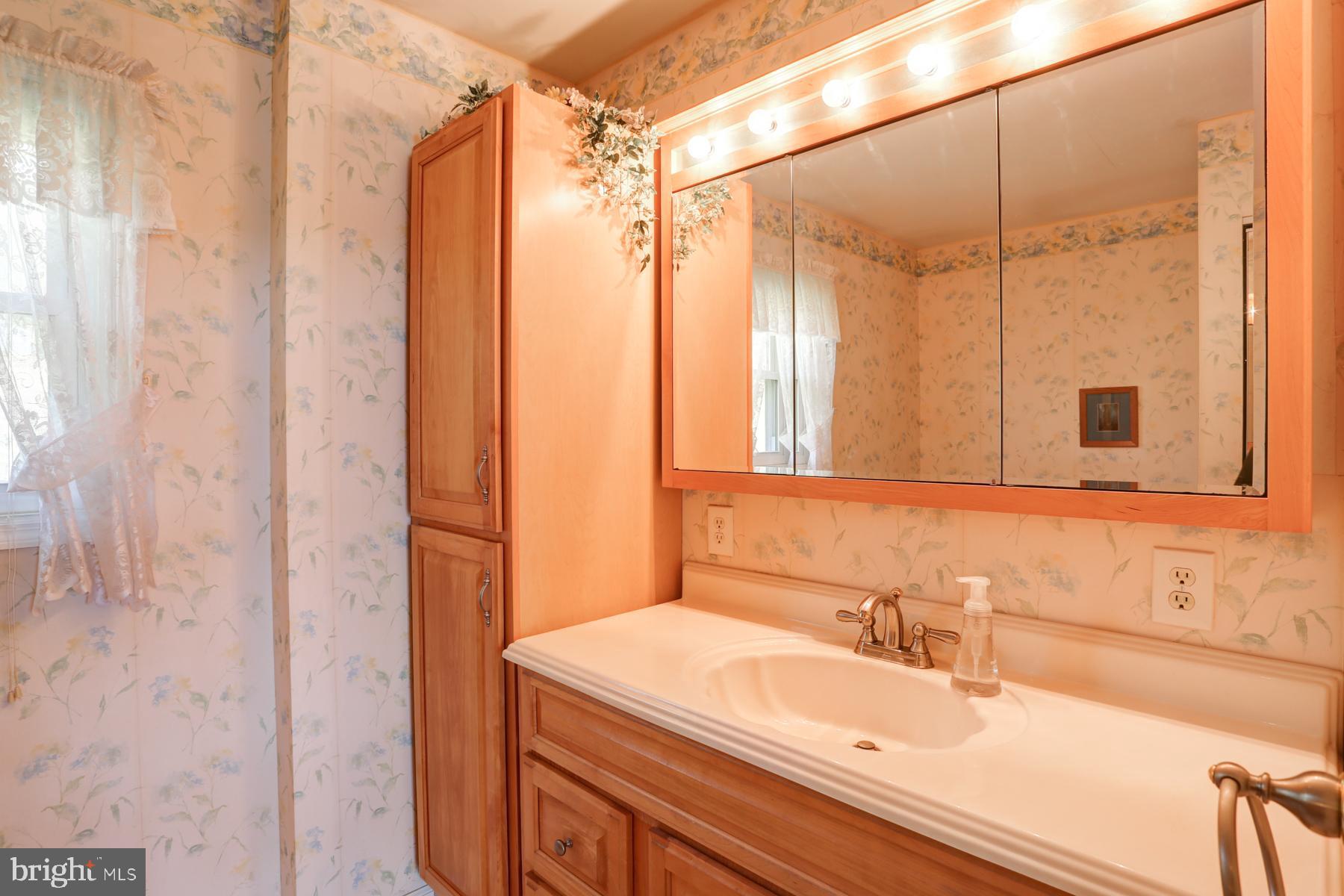 680 Powells Valley Road Halifax, PA 17032 - Photo 28 of 44 a bathroom with a sink and a mirror