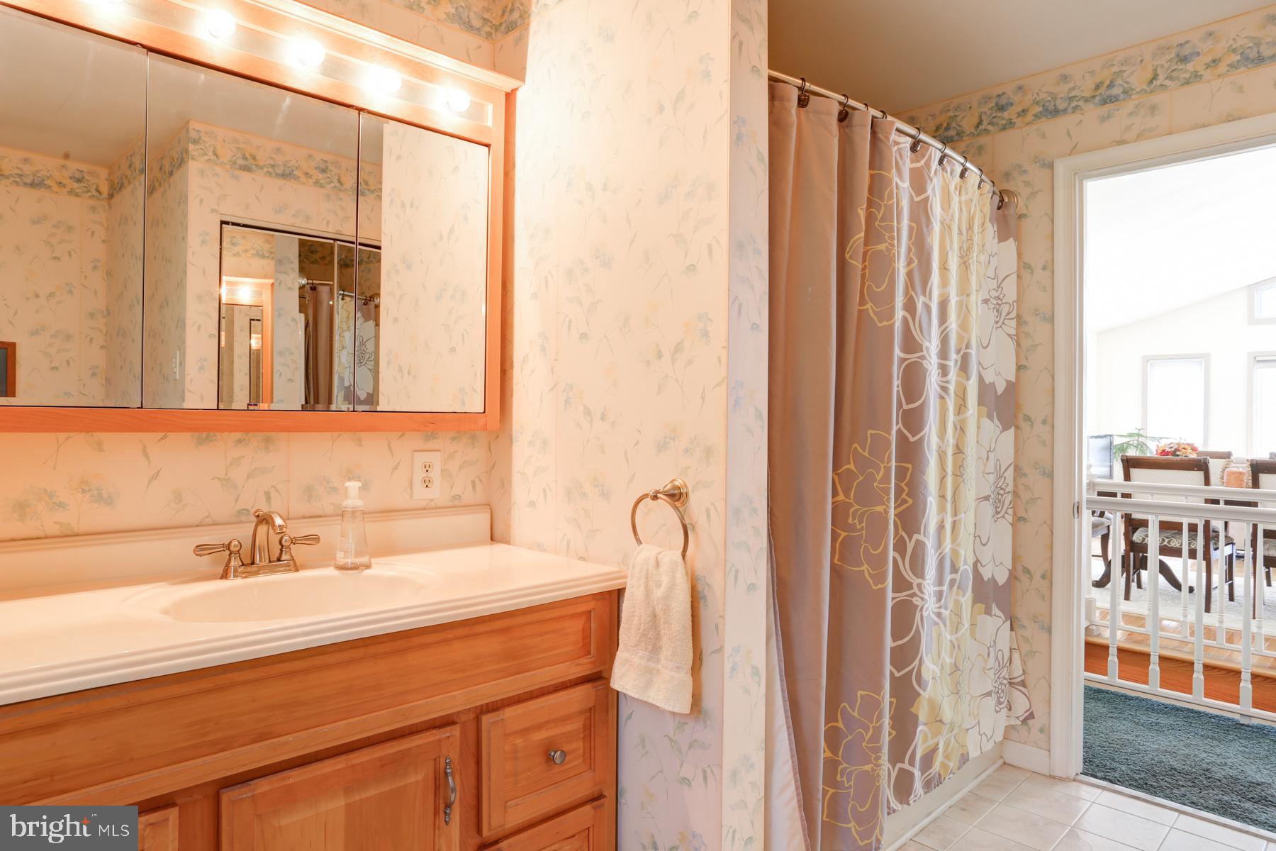 680 Powells Valley Road Halifax, PA 17032 - Photo 29 of 44 a bathroom with a sink and a mirror
