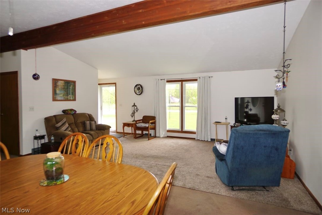 5875 Trumbull Road Geneva, OH 44041 - Photo 4 of 33 Living room area