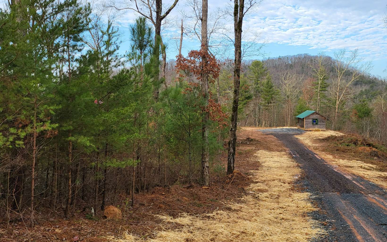 Lowery Road Morganton, GA 30560 - Photo 2 of 4 Additional View