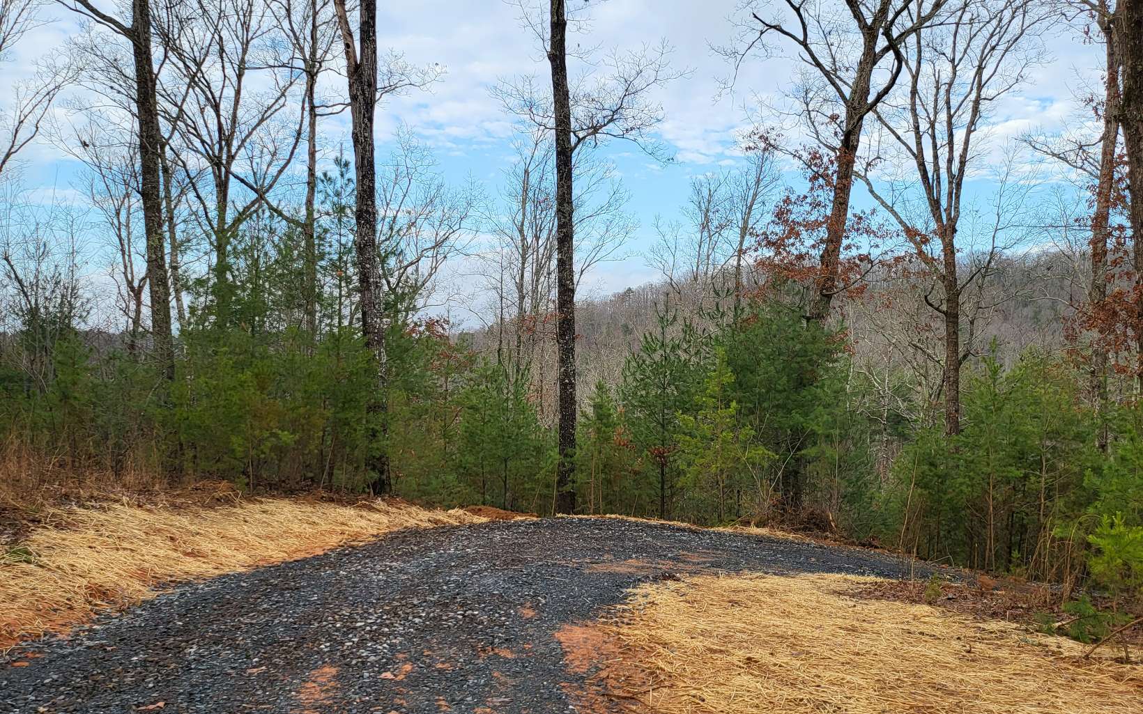 Lowery Road Morganton, GA 30560 - Photo 3 of 4 Additional View