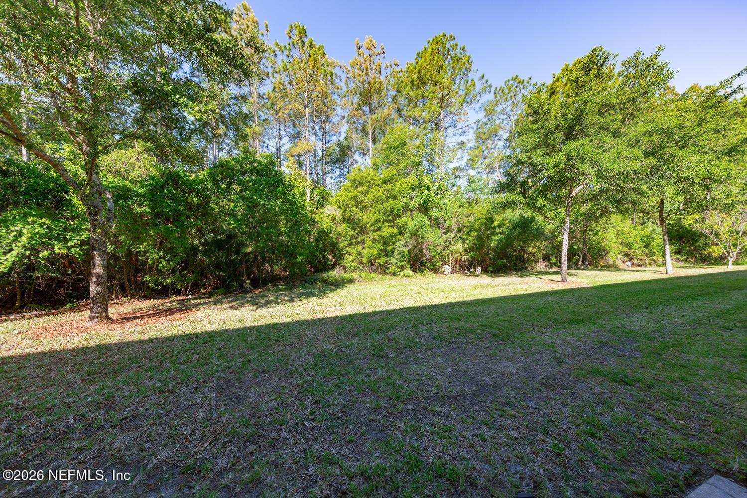 29 Myrtle Park Point Ponte Vedra, FL 32081 - Photo 13 of 59 Backyard View