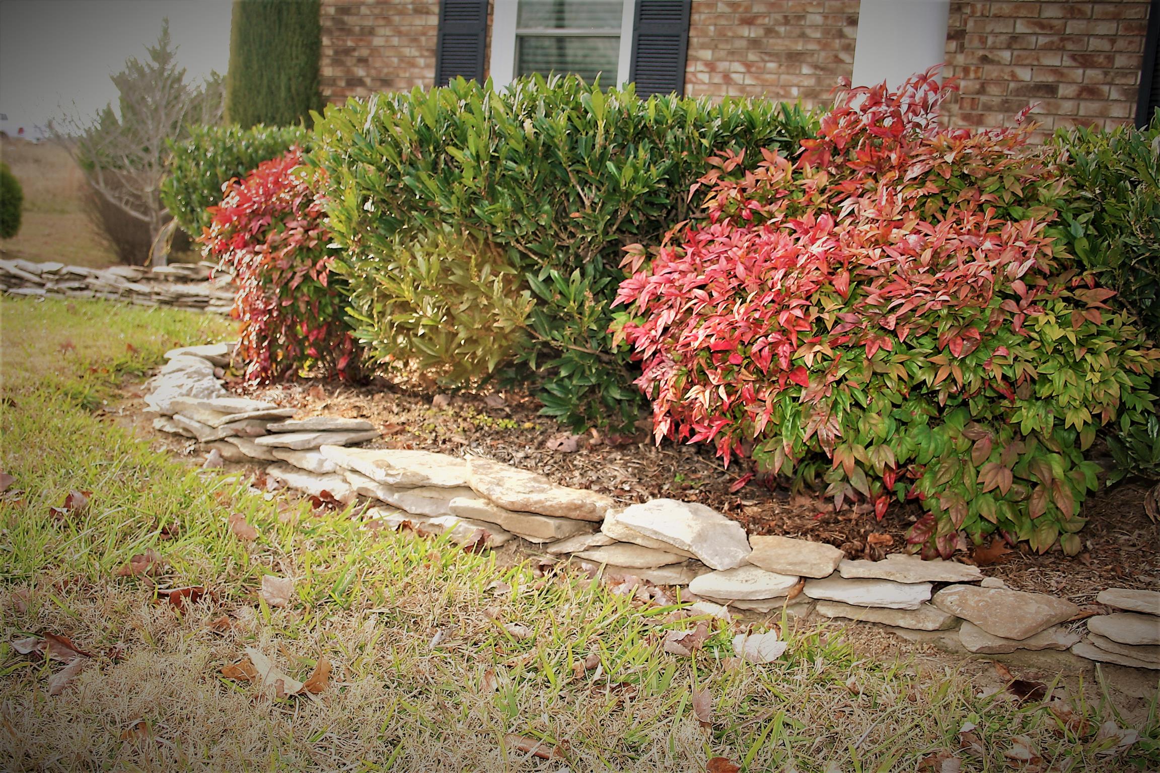 722 Wiley Brown Road Clarksville, TN 37043 - Photo 29 of 29 Beautiful landscaping