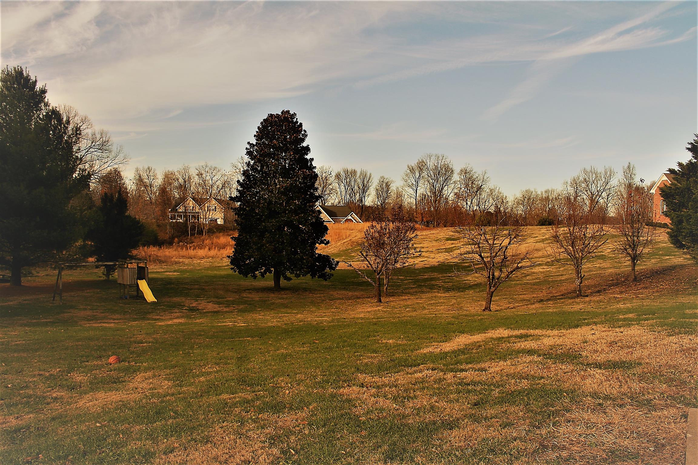 722 Wiley Brown Road Clarksville, TN 37043 - Photo 3 of 29 Gallery Image 3
