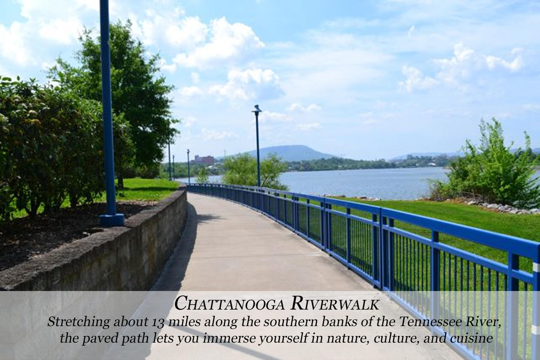 1317 Falmouth Road Chattanooga, TN 37405 - Photo 79 of 79 Chattanooga Riverwalk