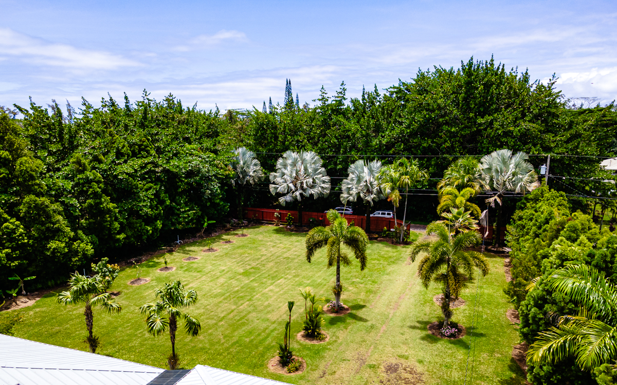 15-1518 Loke Road Keaau, HI 96749 - Photo 8 of 30 Gallery Image 8