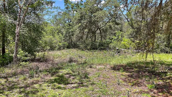 $24,000 | 0 Southeast 197th Avenue, Ocklawaha, FL 32179