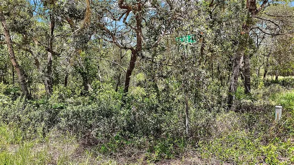 $24,000 | 0 Southeast 197th Avenue, Ocklawaha, FL 32179