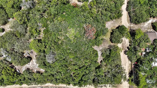 $24,000 | 0 Southeast 197th Avenue, Ocklawaha, FL 32179