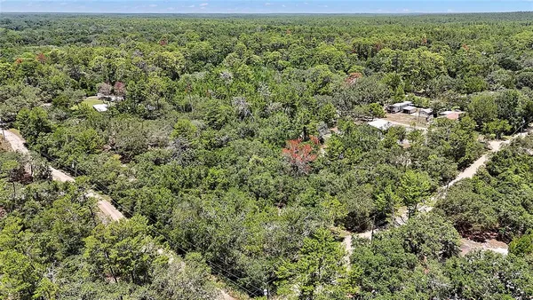 $24,000 | 0 Southeast 197th Avenue, Ocklawaha, FL 32179