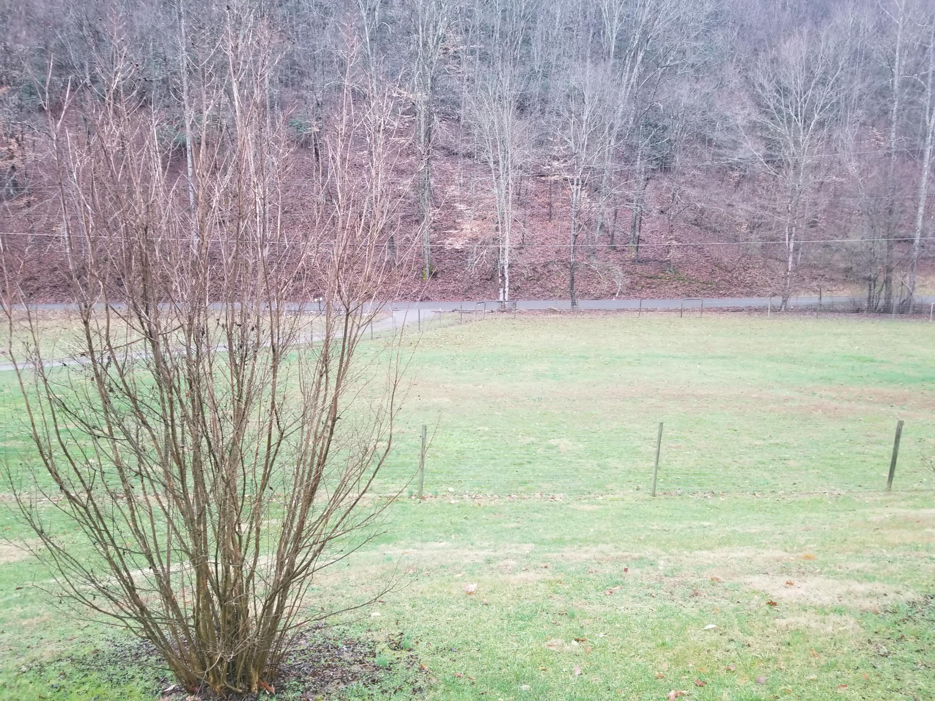 1718 Left Poor Valley Road Pennington Gap, VA 24277 - Photo 4 of 21 20190301_175059