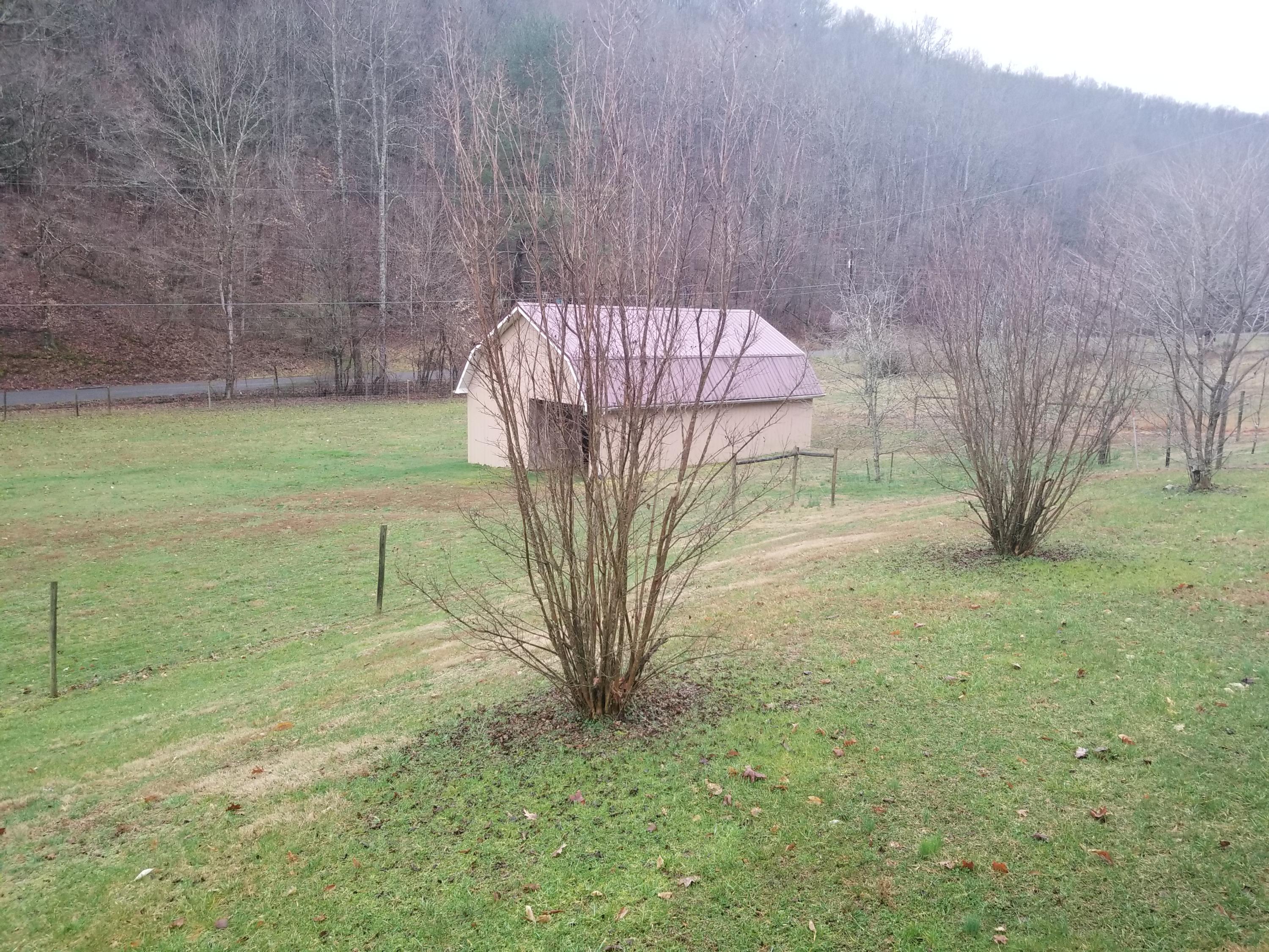 1718 Left Poor Valley Road Pennington Gap, VA 24277 - Photo 5 of 21 20190301_175056