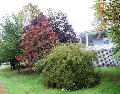 11 Crash Road Livermore, ME 04253 - Photo 2 of 25 Exterior Front. beautiful foliage on...