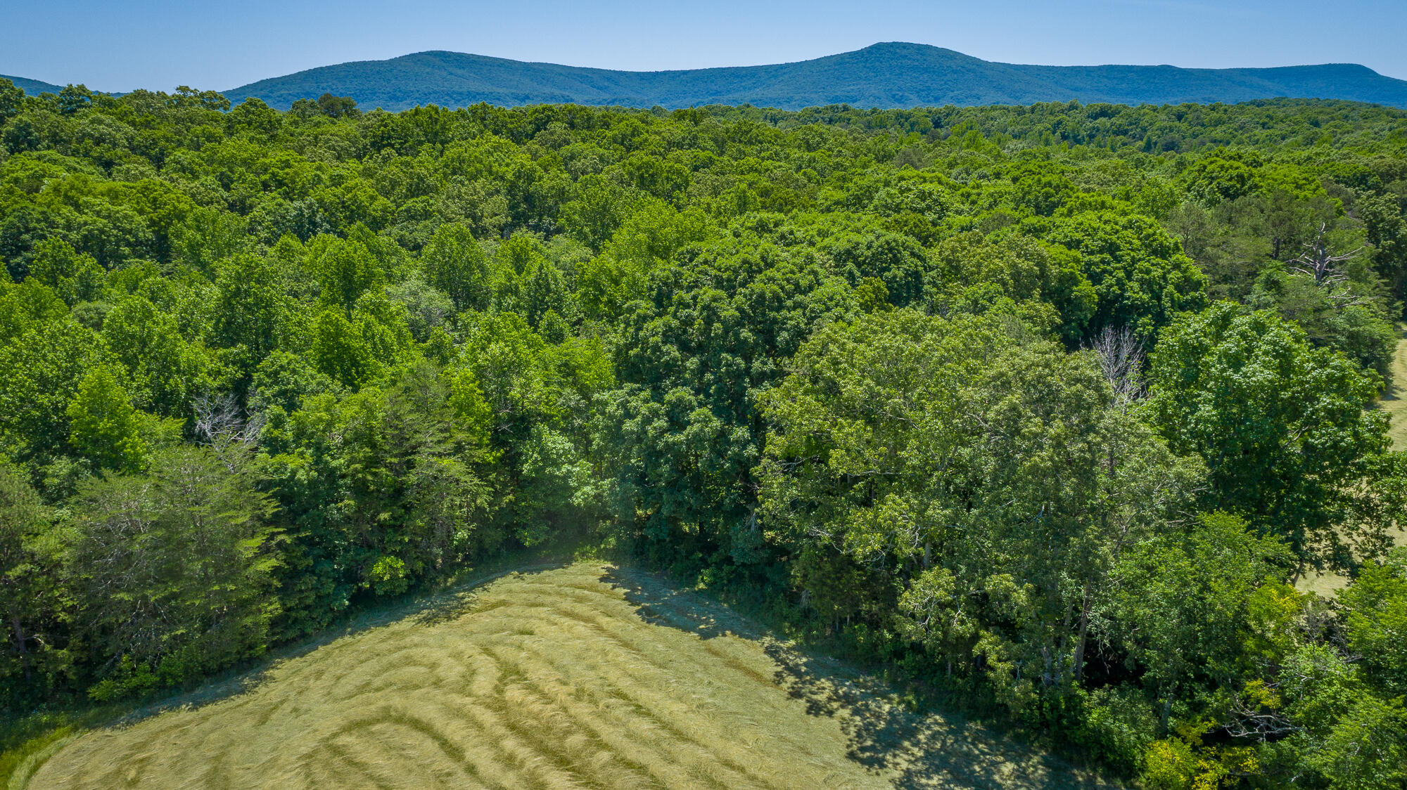 1655 West Cove Road Chickamauga, GA 30707 - Photo 55 of 62 1655 W Cove Road HD-14