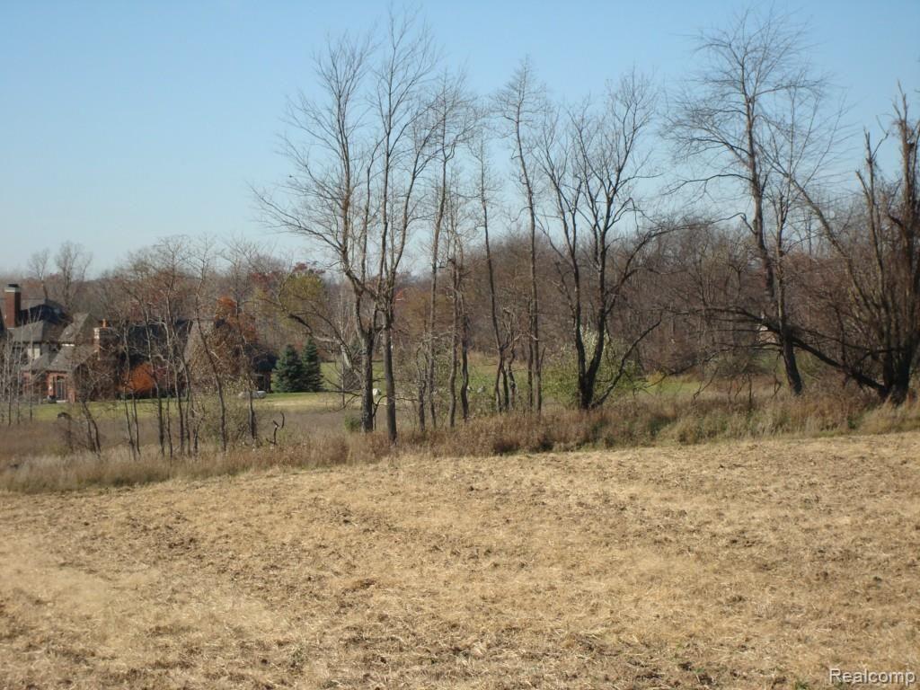 1183 Parks Road Oakland, MI 48363 - Photo 2 of 2 Gallery Image 2