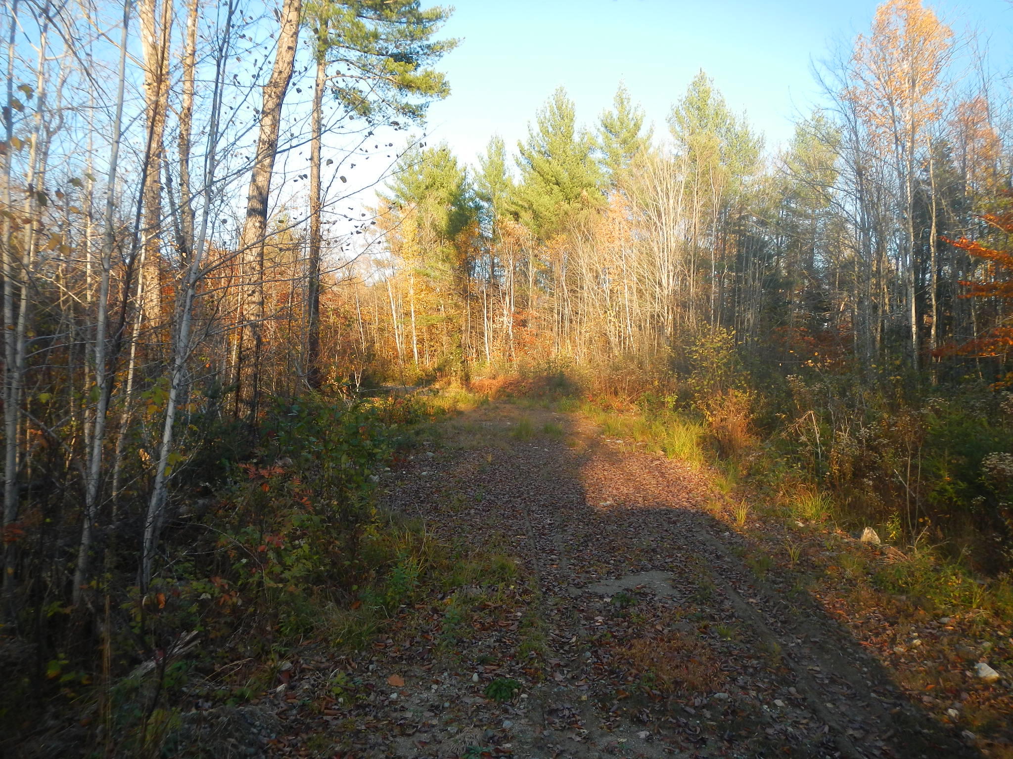 41 North Road Howland, ME 04448 - Photo 18 of 20 DSCN7493