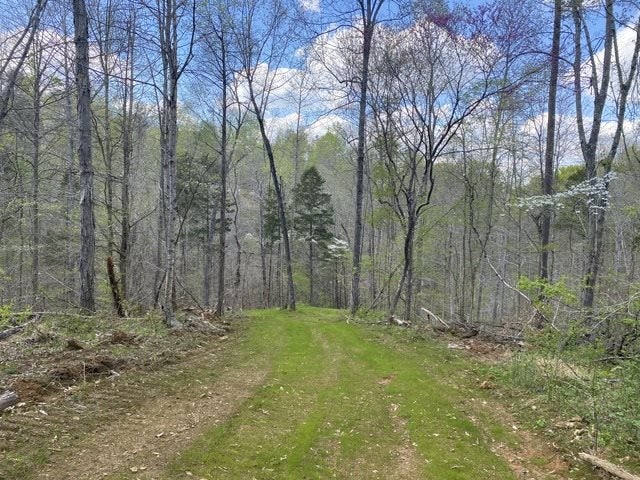 6000 Greenbriar Road Breeding, KY 42715 - Photo 25 of 29 Gallery Image 25