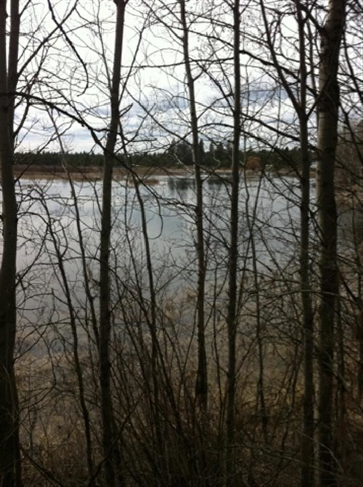 Tbd Taylor Ranch Way Loon Lake, WA 99148 - Photo 3 of 10 Gallery Image 3