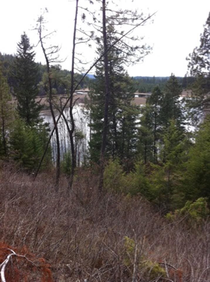 Tbd Taylor Ranch Way Loon Lake, WA 99148 - Photo 6 of 10 Gallery Image 6