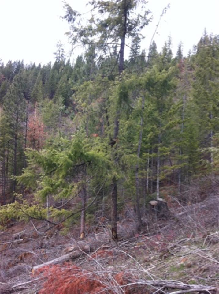 Tbd Taylor Ranch Way Loon Lake, WA 99148 - Photo 7 of 10 Gallery Image 7