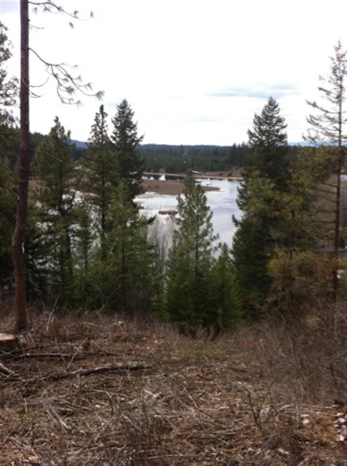 Tbd Taylor Ranch Way Loon Lake, WA 99148 - Photo 9 of 10 Gallery Image 9
