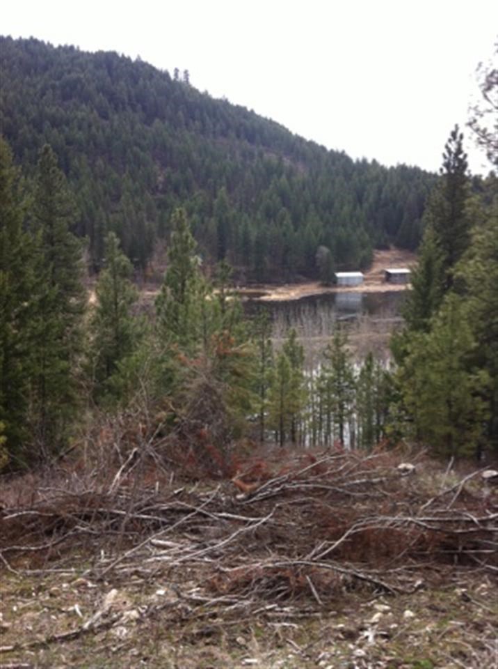 Tbd Taylor Ranch Way Loon Lake, WA 99148 - Photo 10 of 10 Gallery Image 10