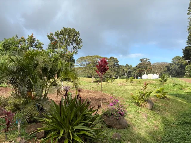 a view of a lake with a garden