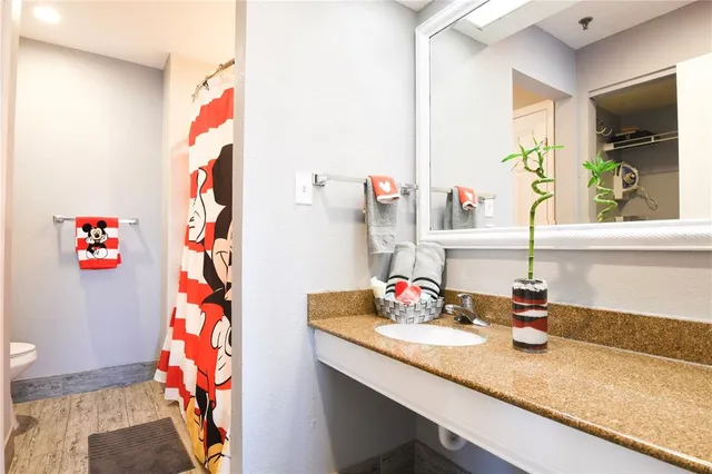 a bathroom with a sink vanity and a large mirror
