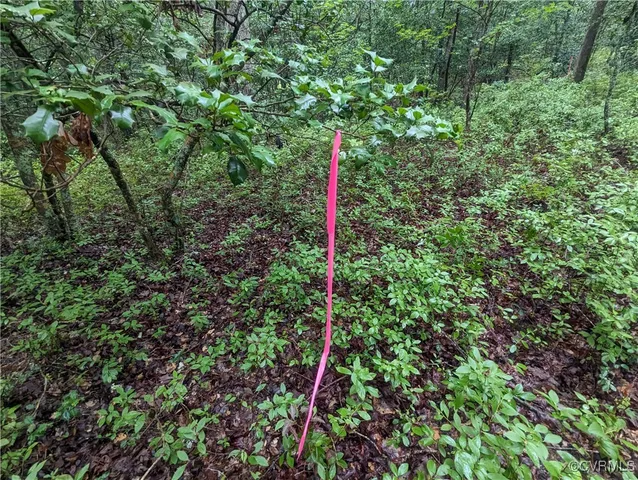 $130,000 | 0 Good Hope Road, Lanexa, VA 23089