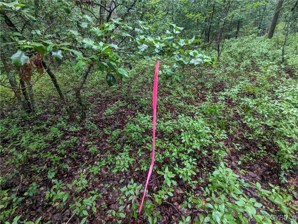 0 Good Hope Road Lanexa, VA 23089 - Photo 11 of 11 a street view