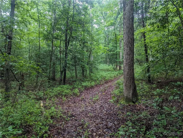 $120,000 | 0 Good Hope Road, Lanexa, VA 23089