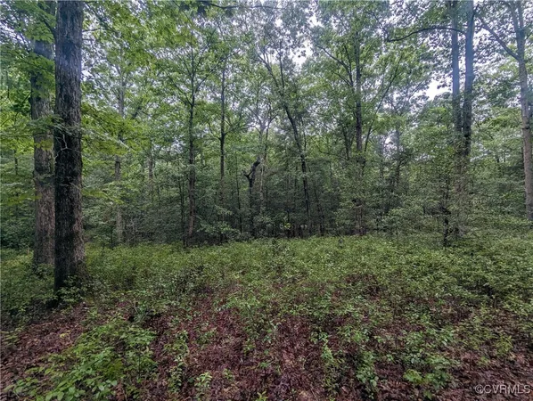 $120,000 | 0 Good Hope Road, Lanexa, VA 23089
