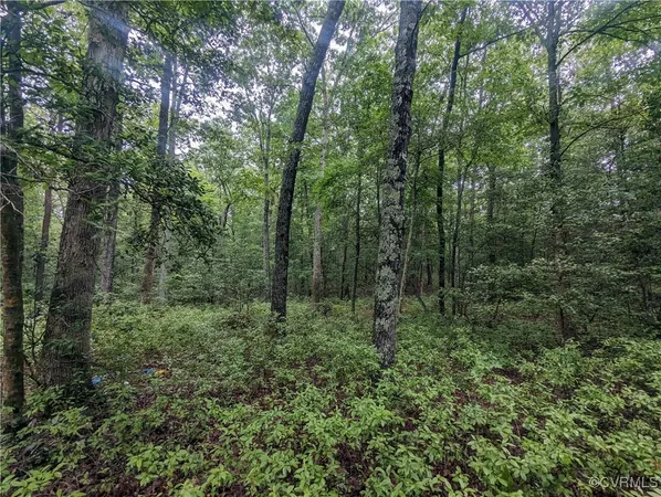 $120,000 | 0 Good Hope Road, Lanexa, VA 23089