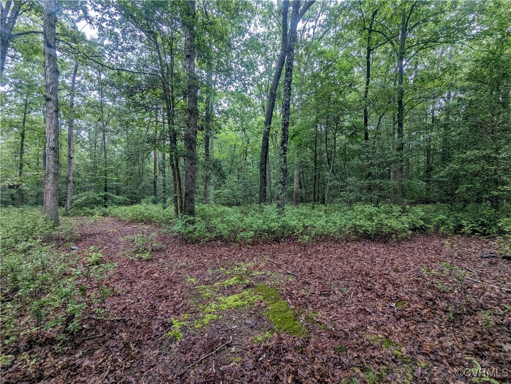 0 Good Hope Road Lanexa, VA 23089 - Photo 8 of 11 a view of a large yard with lots of green space