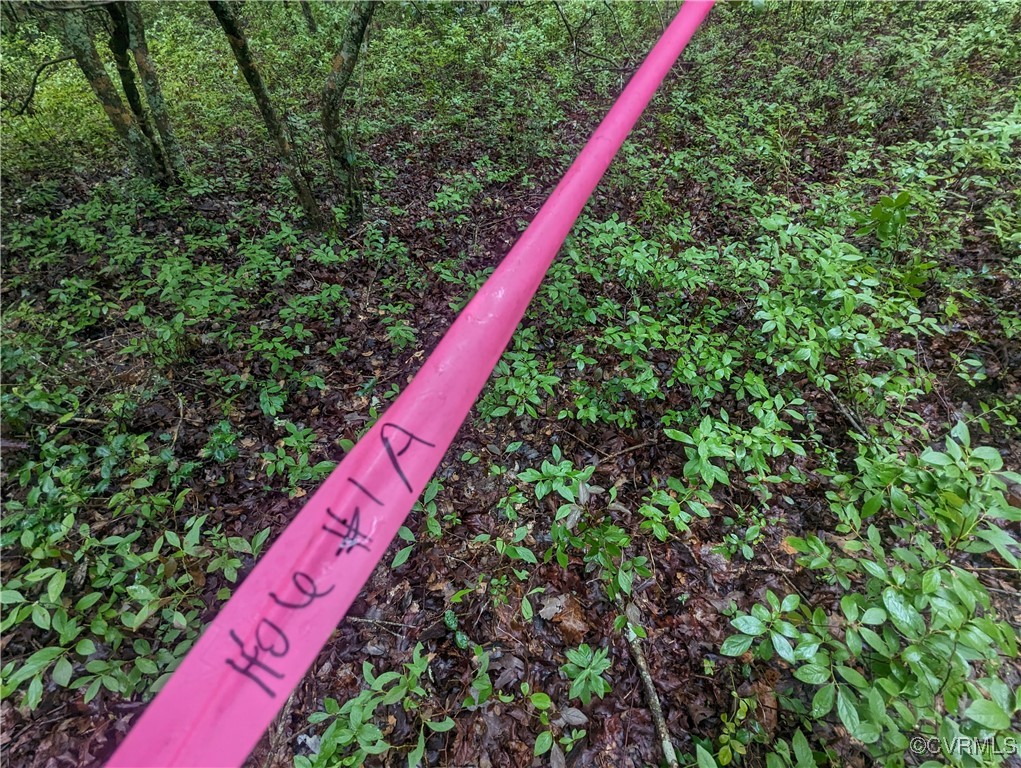 0 Good Hope Road Lanexa, VA 23089 - Photo 10 of 11 a close up of a yard