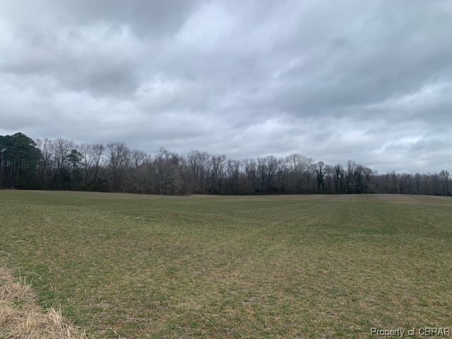0 Gum Fork Road Gloucester, VA 23061 - Photo 4 of 7