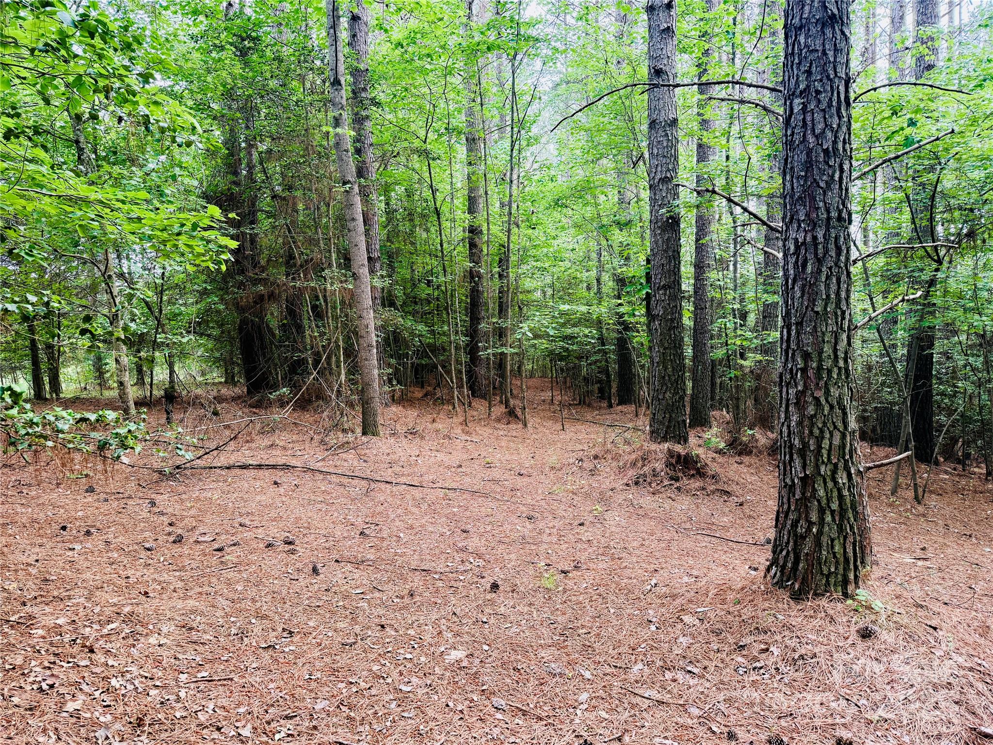 158 Riverwalk Road Stony Point, NC 28678 - Photo 9 of 29 Gallery Image 9
