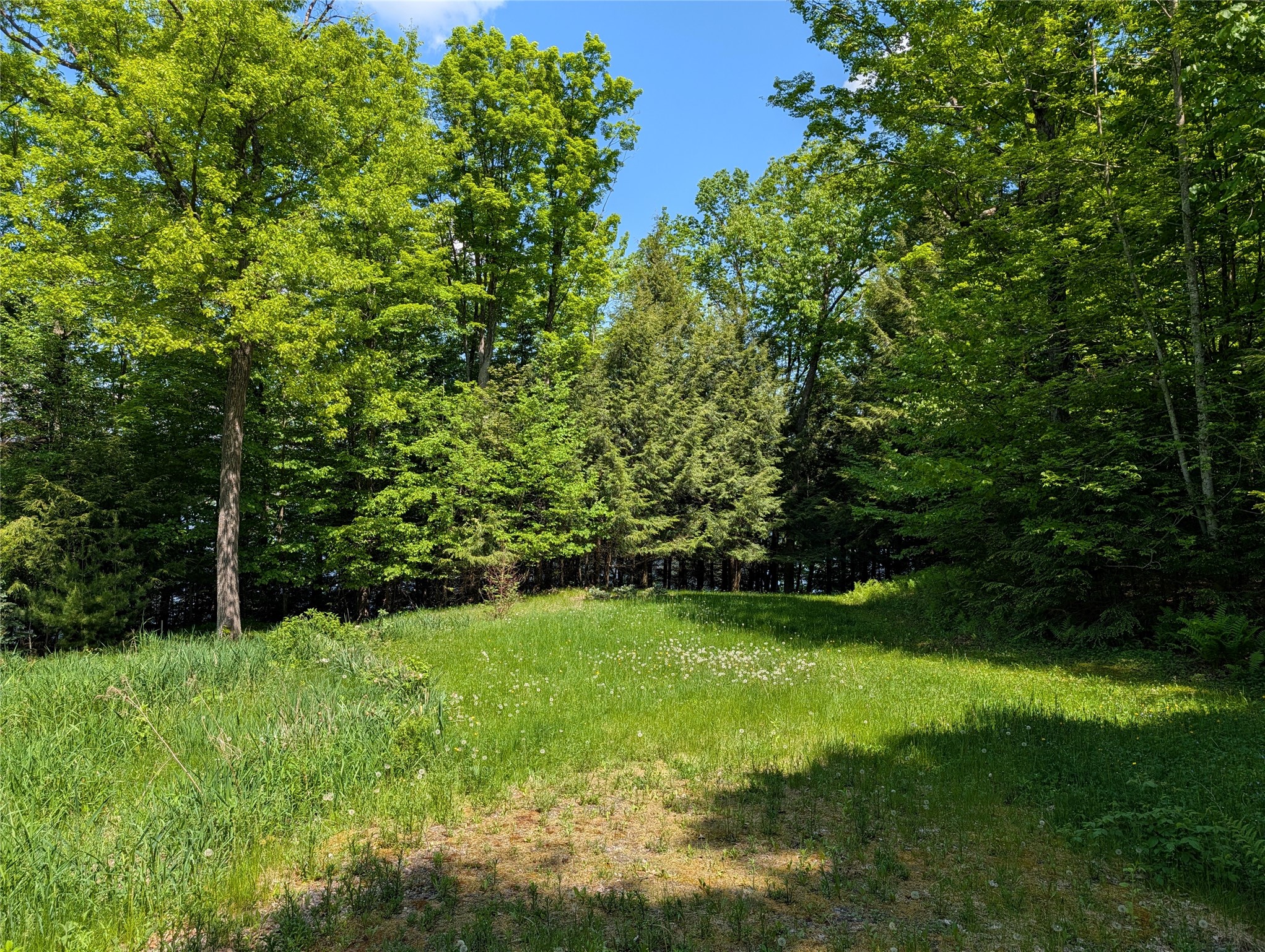 14967 360th Street Stanley, WI 54768 - Photo 14 of 20