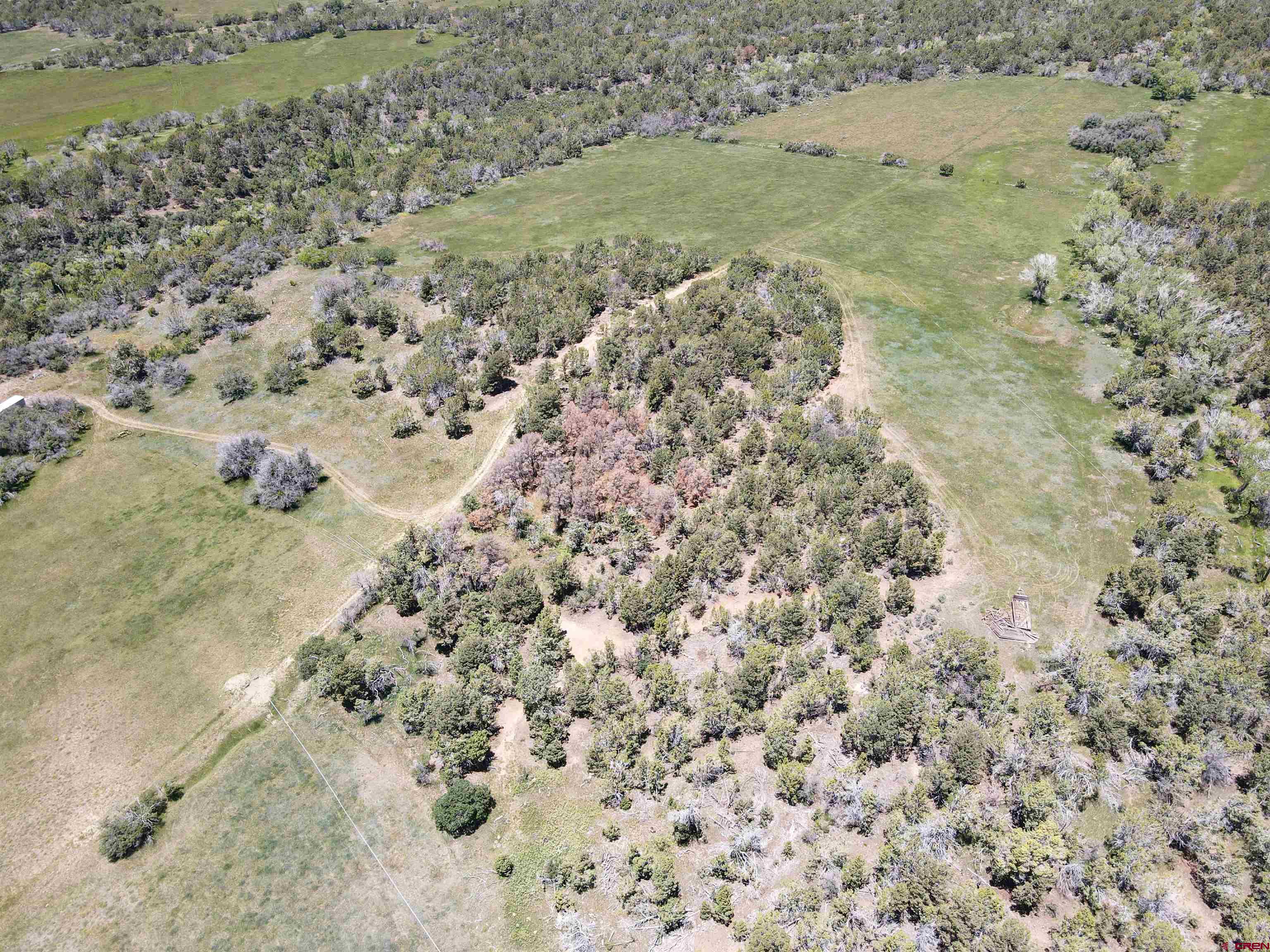 22043 Uintah Road Cedaredge, CO 81413 - Photo 9 of 19 a view of beach and yard