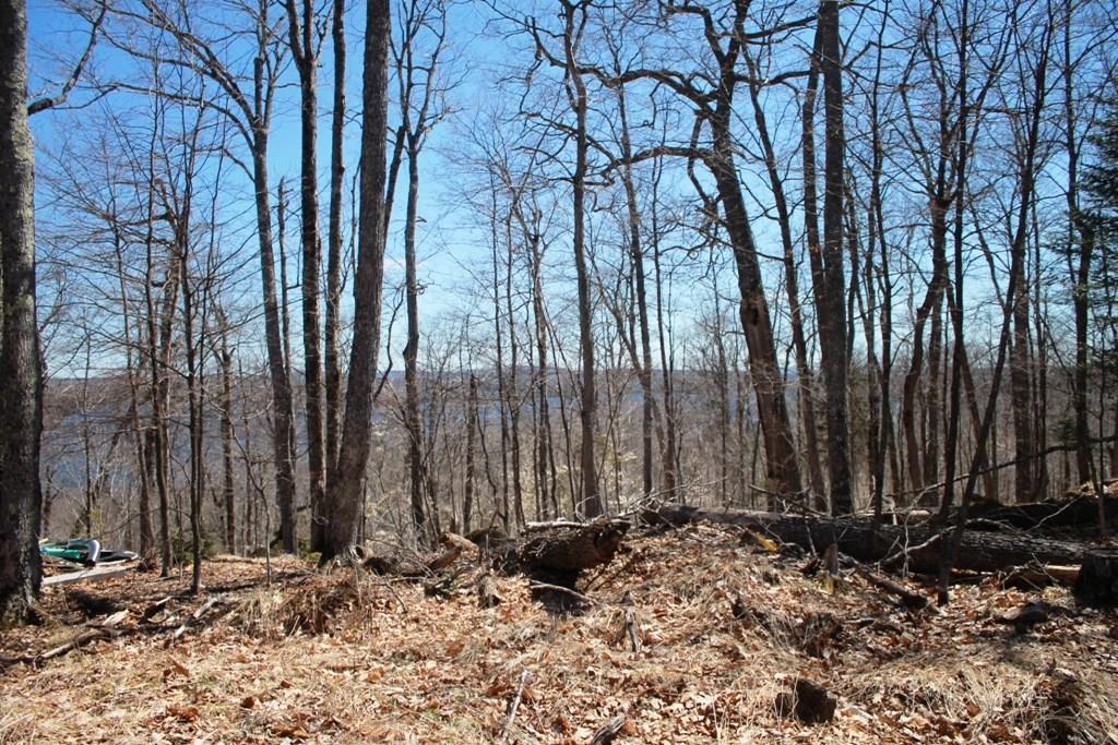 Tbd Tbd Oak Ridge Greenville Junction, ME 04442 - Photo 2 of 5 Photo