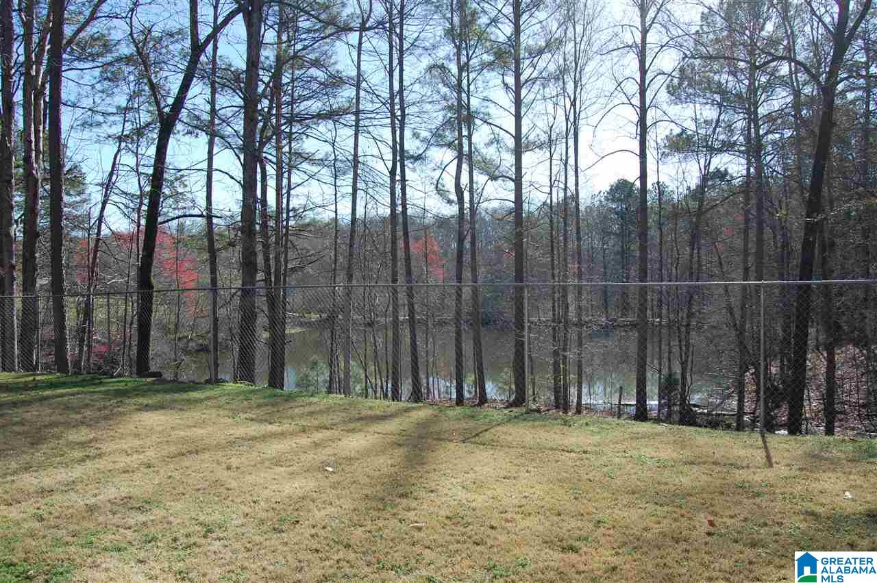 875 Wolf Pen Ridge Road Pell City, AL 35128 - Photo 2 of 47 Gallery Image 2