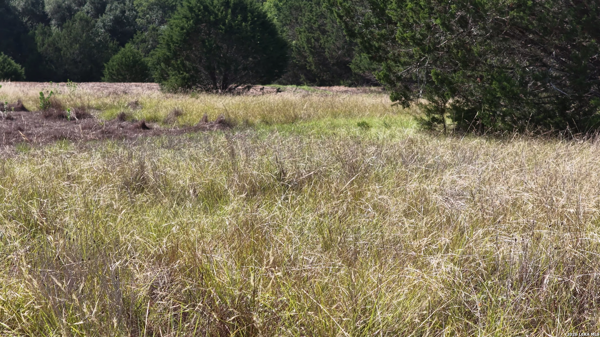 4113 Trainer Wuest Road Blanco, TX 78606 - Photo 24 of 62 Gallery Image 24